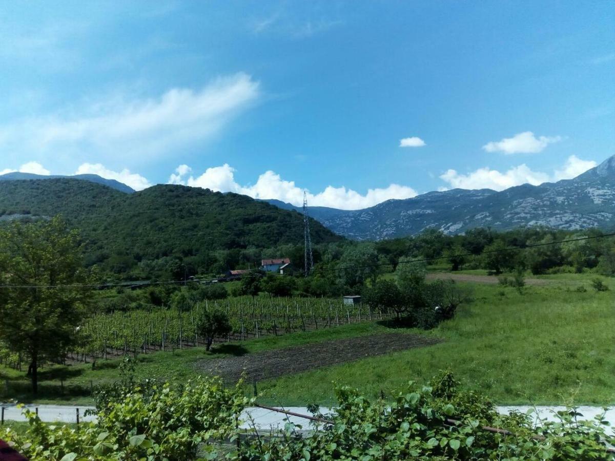 Studio And Winery Kalimut Вирпазар Екстериор снимка